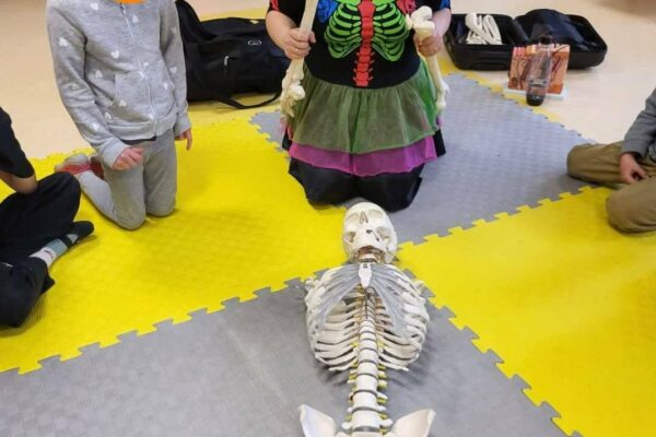 1ce6c035-5a65-4907-8c1d-7a6ad05c0f41