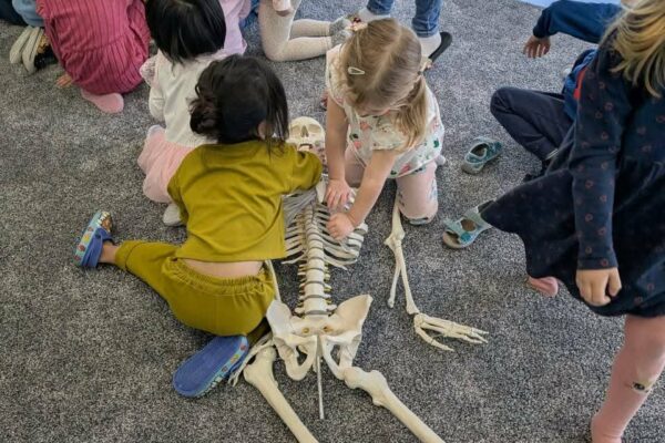 2673196c-f49f-479d-83c6-967d15c61b3a