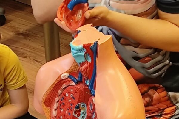 5e01a4f1-08e1-4444-85f2-6f00f9c63c39