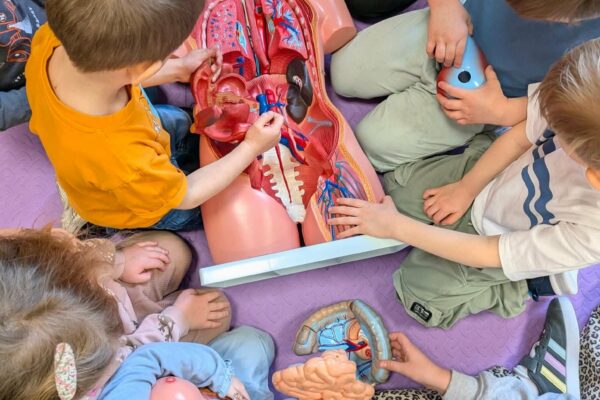 6b7489fe-ecf4-408f-bd0f-9a997fcd4223