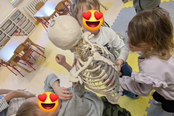 c10bc412-982e-46b1-965c-8f9a8453ae0b