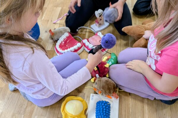 c7d153f6-e29d-4ce0-af5d-5a9390c17fa8