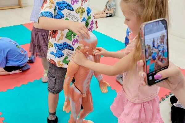 cb3ef539-068c-485b-b3dc-3a025002b669