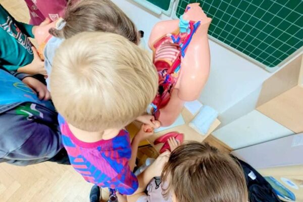 d3ba5c16-5ff0-4571-aaaf-52e78581d3cd