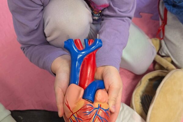 ef29b32e-e7b6-49c3-bc9b-52c2cdab87dc