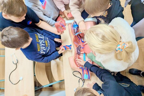 ffec2366-eb99-4809-bd44-8fabea9ac31b